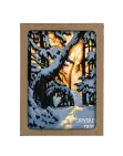 H017_box