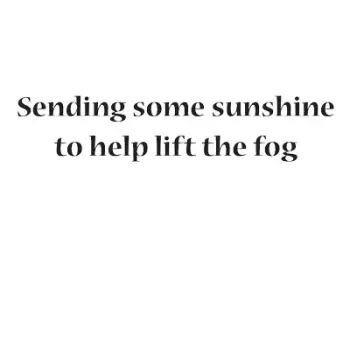 Sunset peaking through misty trees