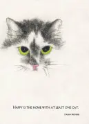 CC532