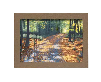 Woodland Stream; Spring Blossom; Spring Pond; Grandma's Lane