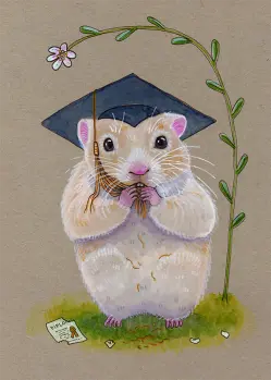 Graduate