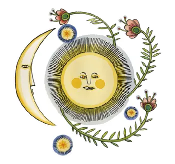 Stickers - Vinyl - Julie Paschkis