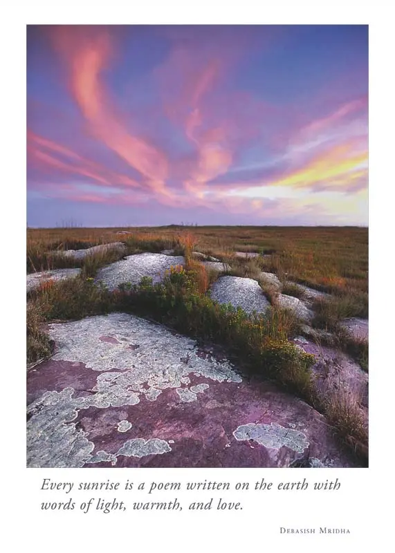 Jim Brandenburg - Night Sky