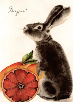 Grey Bunny with Grapefruit "Bonjour!"