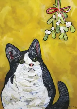 Box of Cats Playing Cards