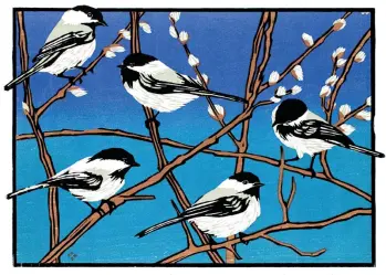 Five Black and White Chickadees Sitting on Branches during the Winter