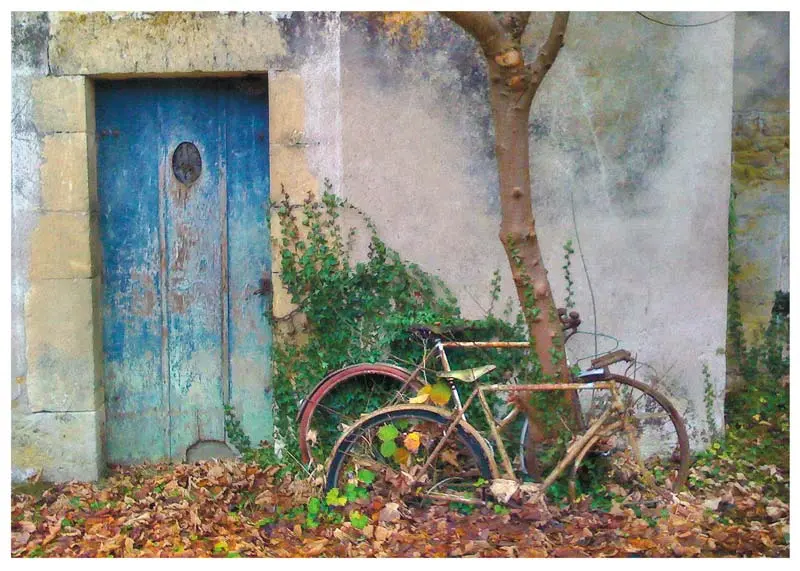 Jim Brandenburg - Bicycle