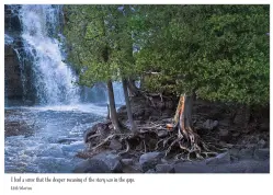 New Encouragement Cards