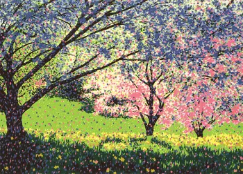 Woodland Stream; Spring Blossom; Spring Pond; Grandma's Lane