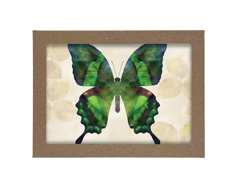 Peaceful Blue, Orange, Green, Violet Butterfly with Leaves