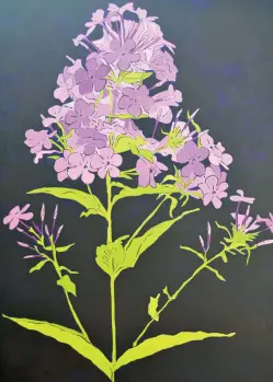 Purple flowers on black background