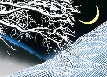 Snow tree at night time