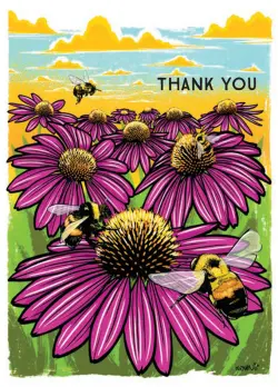 Boxed Thank You Notes