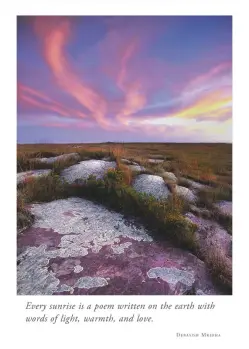 Jim Brandenburg - Night Sky