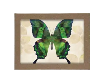 Peaceful Blue, Orange, Green, Violet Butterfly with Leaves