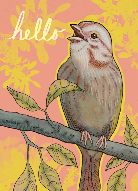 Hello, Pink Parrot, HI., Peacock