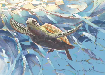 Dan Weimer - Sea Turtle