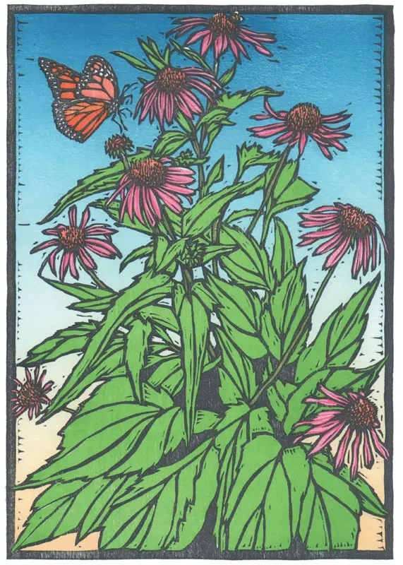 Providence of the Monarch