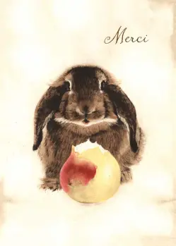 Brown Bunny Eating a Pear "Merci"
