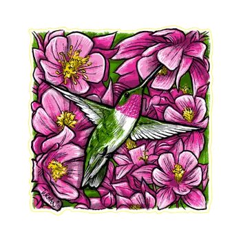 Stickers - Vinyl - Adam Turman