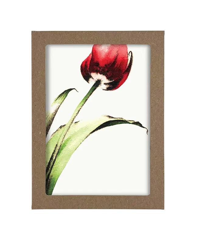 Box of Colorful Flower Cards