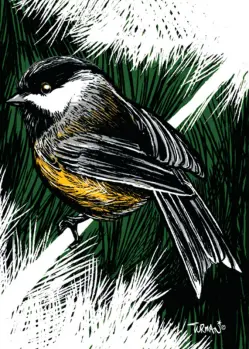 small bird on branch