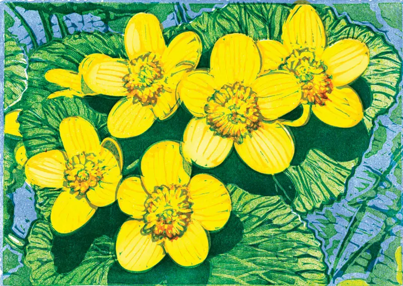 Marsh Marigolds