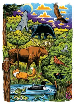 Minnesota wildlife fox, loon, moose, elk, bear, wolf, eagle, birds