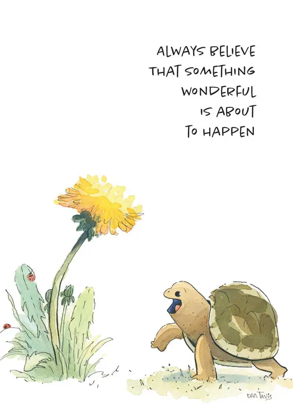 Turtle and Flower