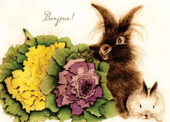 Box of Bunnies with Food