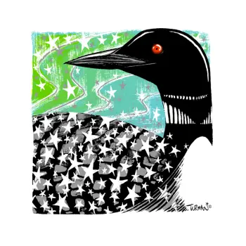 Stickers - Vinyl - Adam Turman