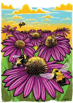 Rusty Patched Bumble Bee