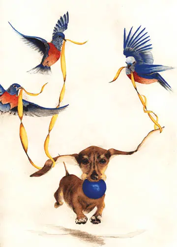 Weiner Dog Holding a Blue Ball Being Carried Away by Three Bluebirds