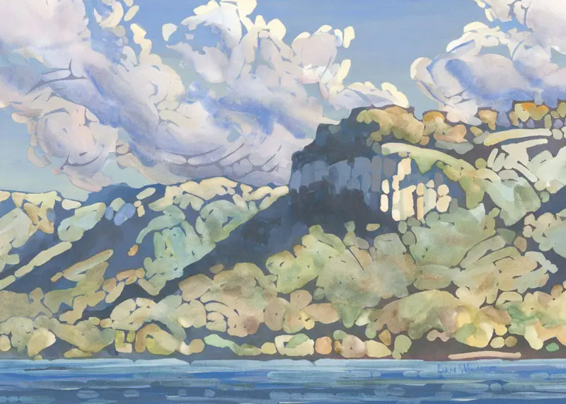 Tree Covered Cliffside by the Water