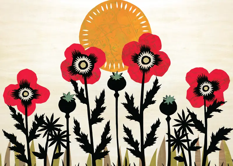 Red Poppy Flowers and Orange Sun