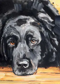 painted black Labrador with brown eyes