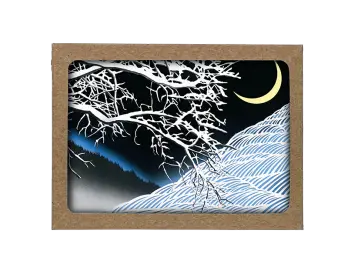 Box of Snowy night cards