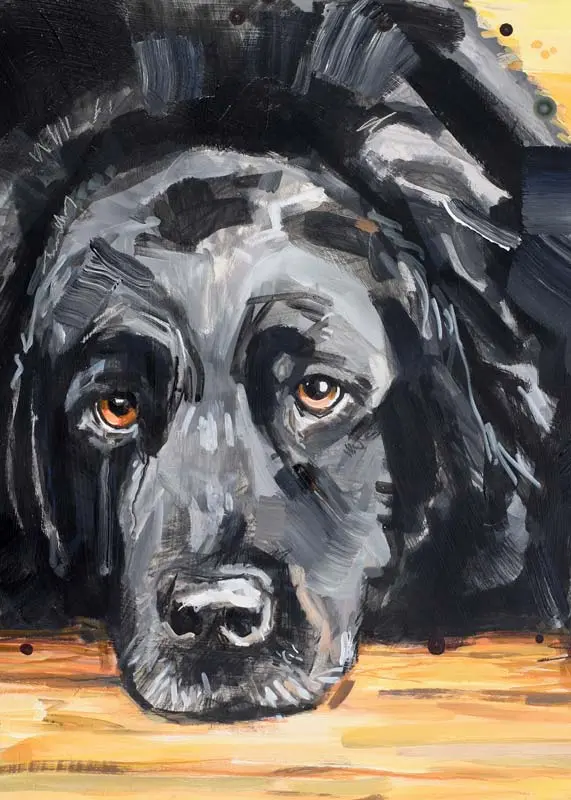 painted black Labrador with brown eyes