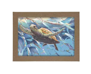 Water Themed Boxed Cards