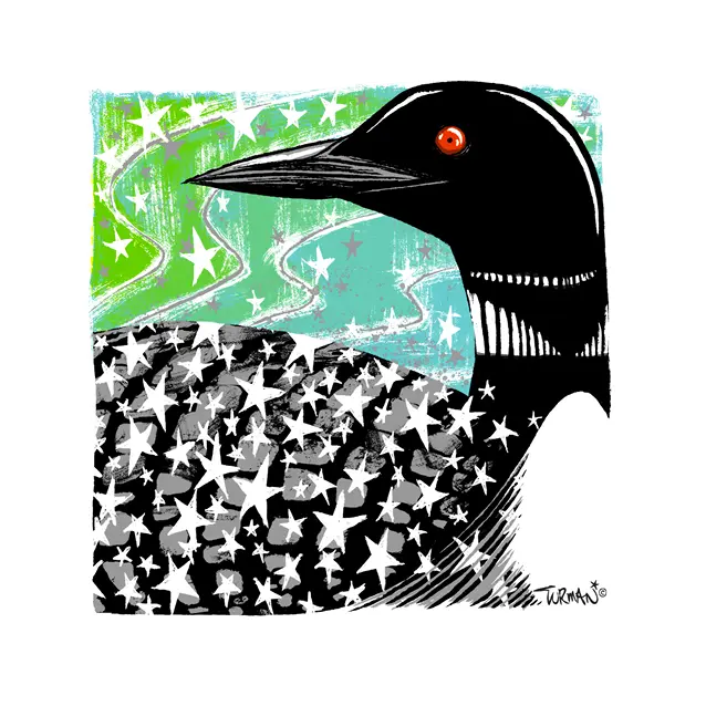 Stickers - Vinyl - Adam Turman