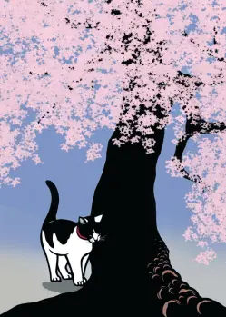 Enjoying Cherry Blossoms