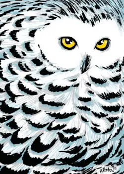 Boxed Note Cards - Adam Turman