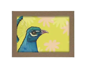 Hello, Pink Parrot, HI., Peacock