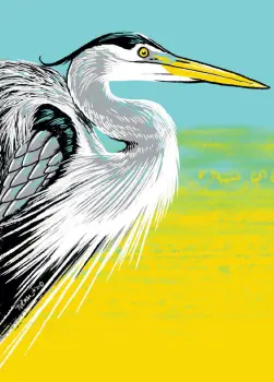 Great Blue Heron
