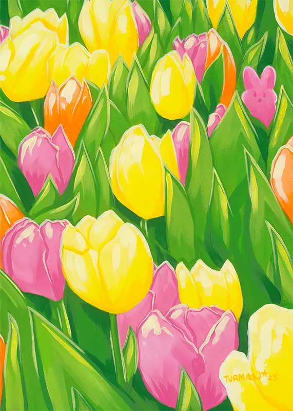 Tulips