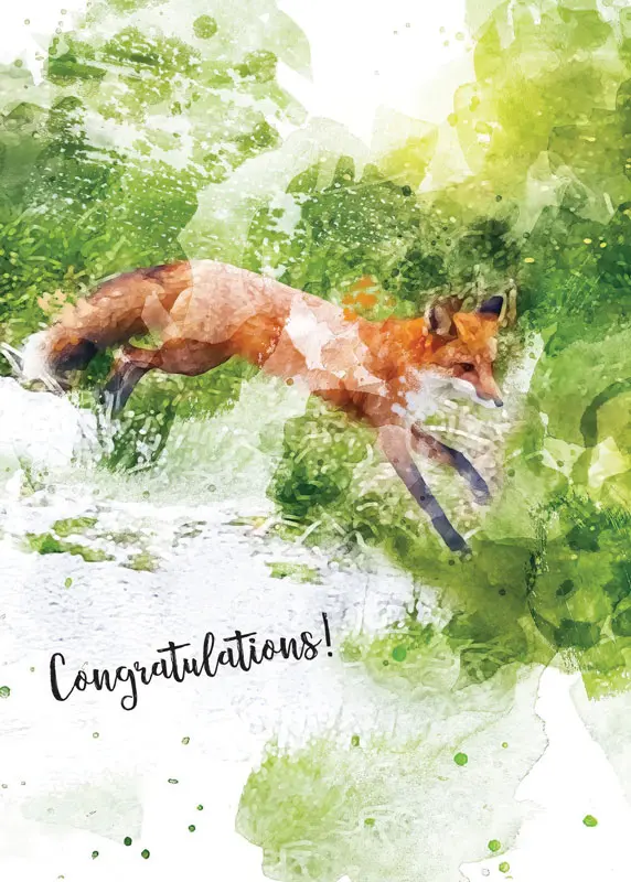 Watercolor of an Orange Fox
