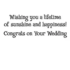 Bright Sun Shining over Flowers and Birds