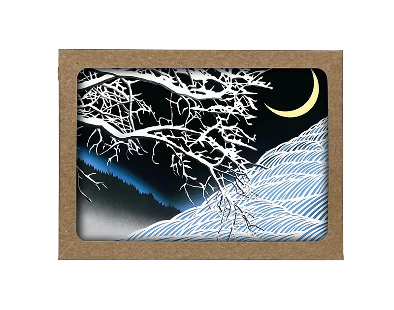 Box of Snowy night cards