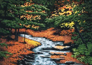 Woodland Streams