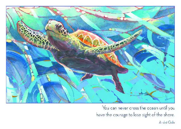Dan Weimer - Turtle Swimming Peacefully